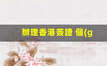 辦理香港簽證 個(gè)人簽證(辦理香港簽證 個(gè)人簽證需要多久)
